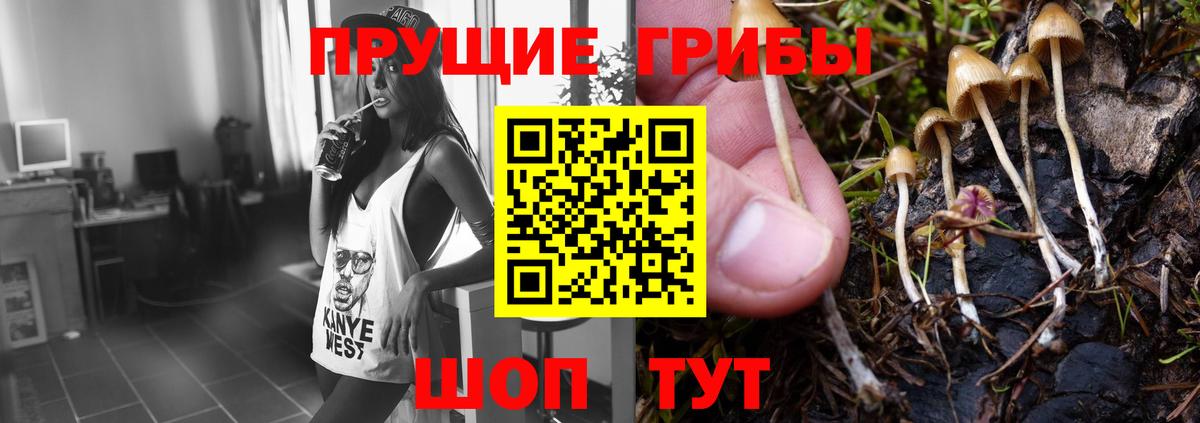 наркотики  Галлюциногенные грибы ЛСД  Вход с VPN  Михайловск 