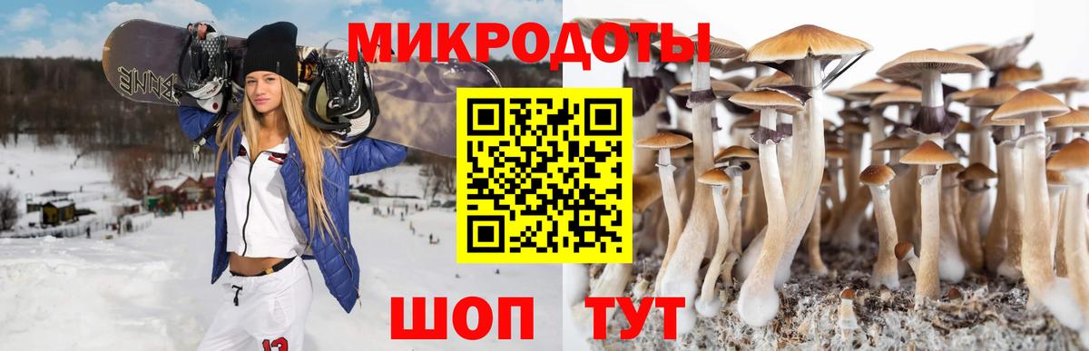 Псилоцибиновые грибы MAGIC MUSHROOMS Михайловск