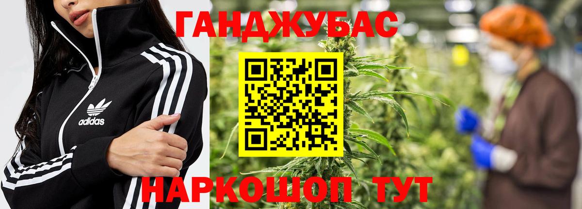 Шишки марихуана план  Бошки марихуана AK-47  Вход с VPN  Марихуана OG Kush  Михайловск  Конопля индика 